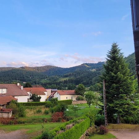 Appartement Chaleureux Au Coeur Des Hautes Vosges Вантрон Экстерьер фото