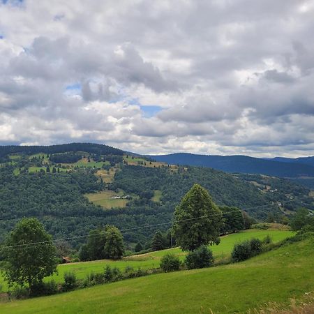 Appartement Chaleureux Au Coeur Des Hautes Vosges Вантрон Экстерьер фото