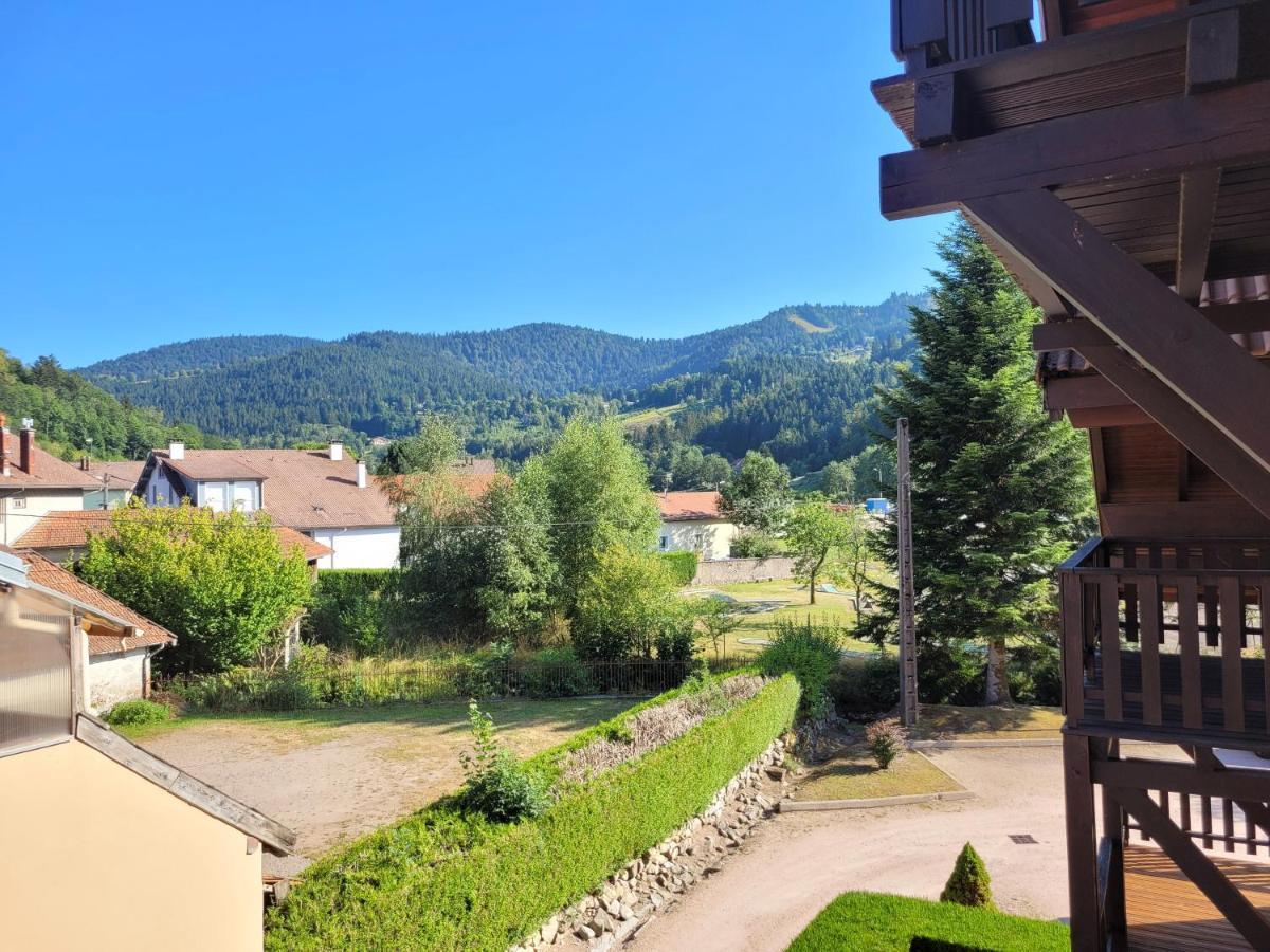 Appartement Chaleureux Au Coeur Des Hautes Vosges Вантрон Экстерьер фото