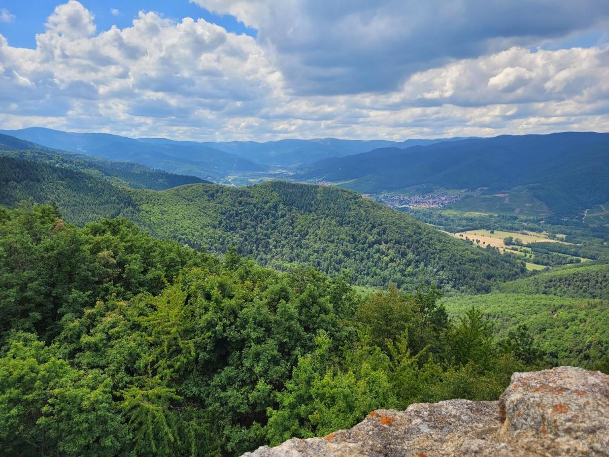 Appartement Chaleureux Au Coeur Des Hautes Vosges Вантрон Экстерьер фото