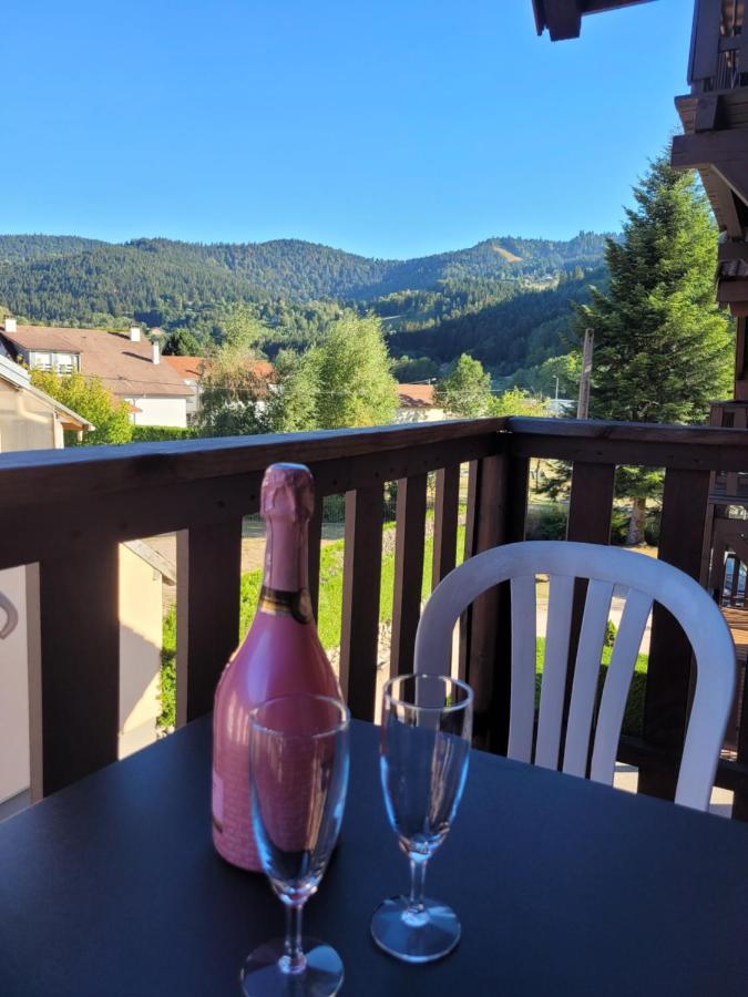 Appartement Chaleureux Au Coeur Des Hautes Vosges Вантрон Экстерьер фото