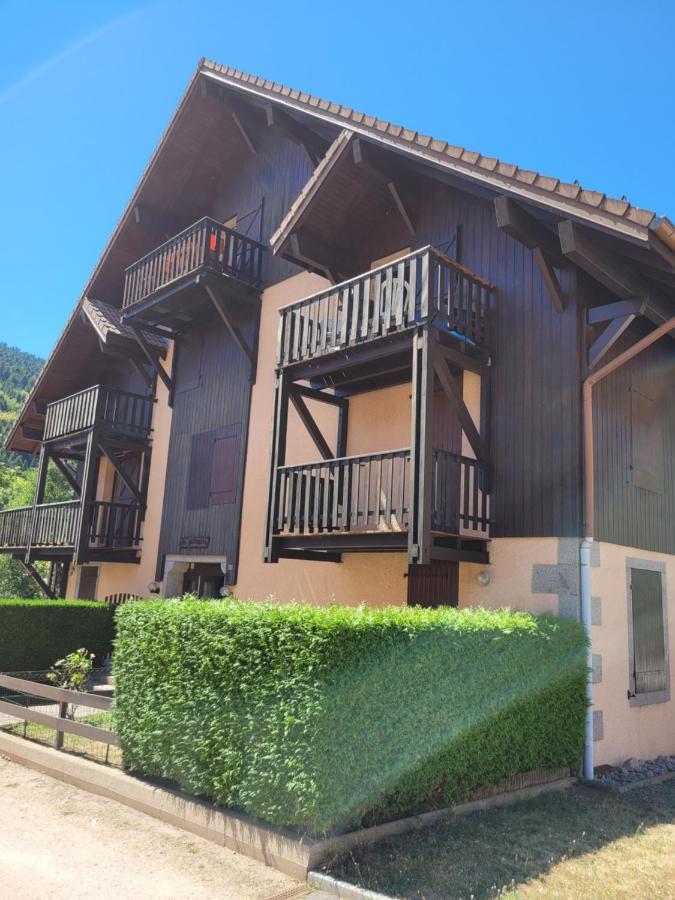 Appartement Chaleureux Au Coeur Des Hautes Vosges Вантрон Экстерьер фото