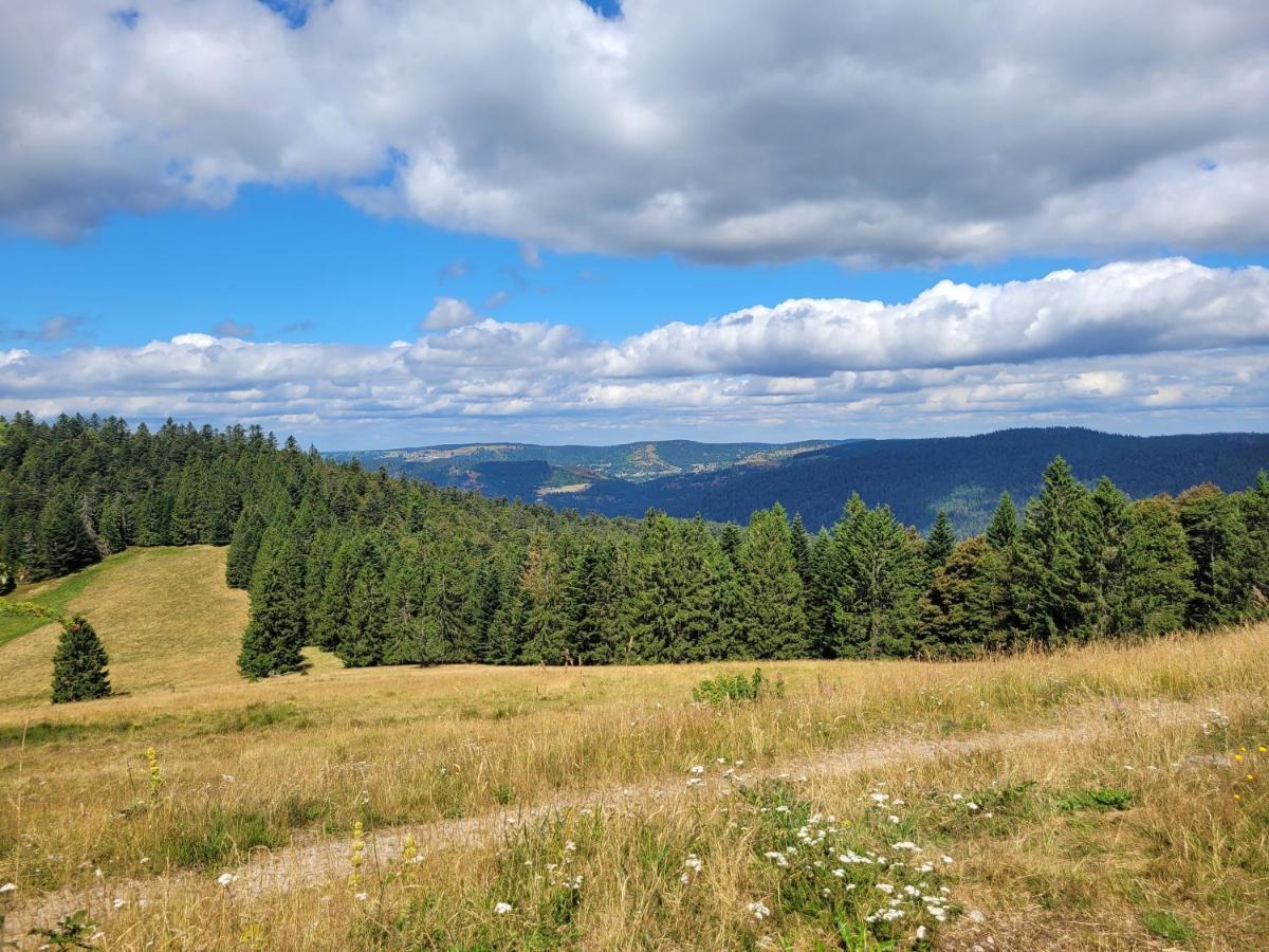 Appartement Chaleureux Au Coeur Des Hautes Vosges Вантрон Экстерьер фото