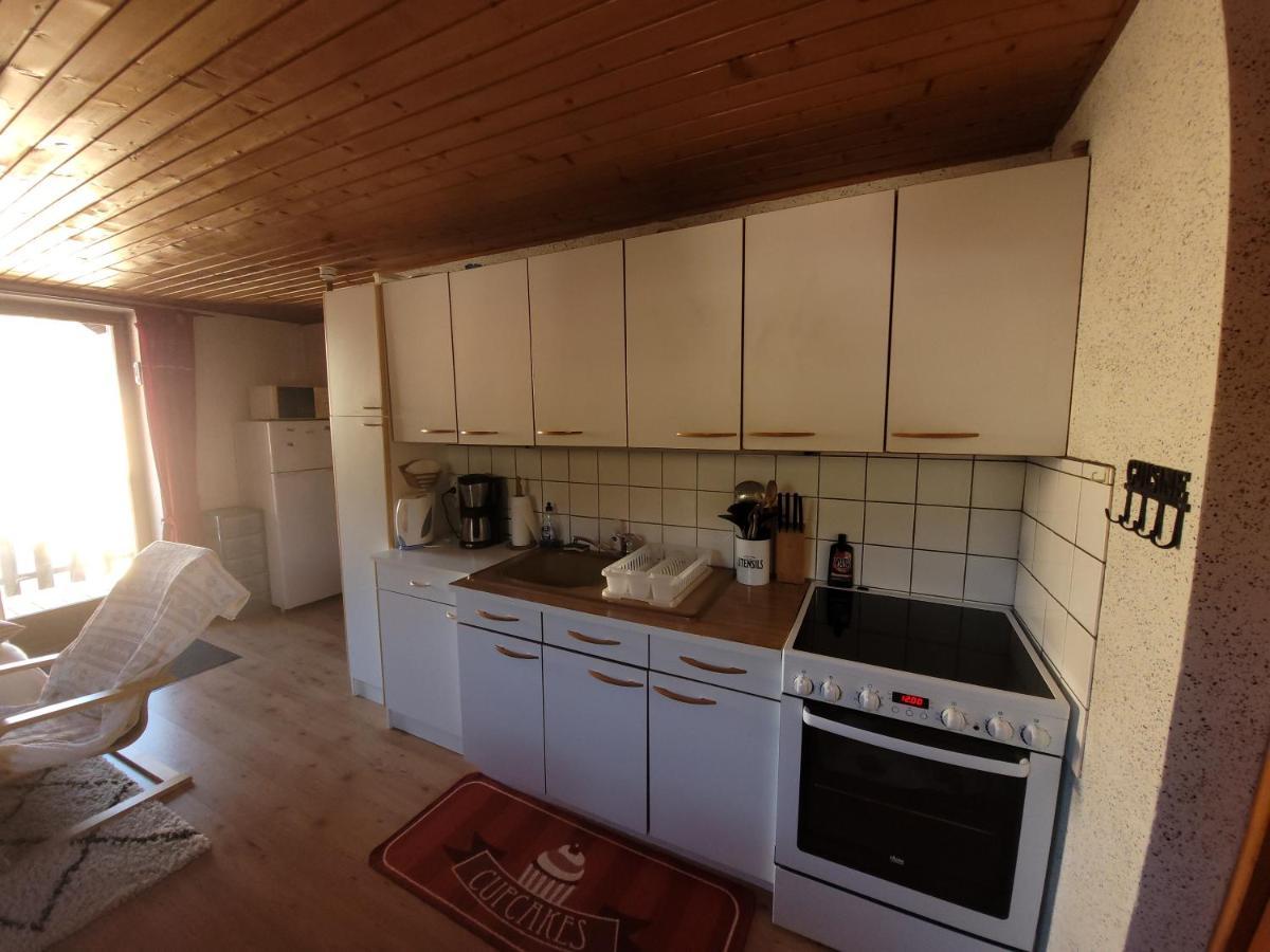 Appartement Chaleureux Au Coeur Des Hautes Vosges Вантрон Экстерьер фото