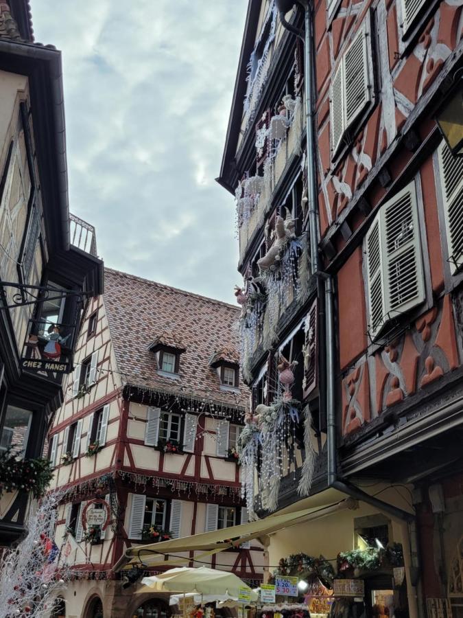 Appartement Chaleureux Au Coeur Des Hautes Vosges Вантрон Экстерьер фото
